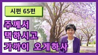 시편  65편  :  주께서 택하시고 가까이 오게하사