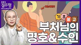 [#정주행] ન? 그게 무슨 의미가 있는 건가요 부처님의 "명호&수인" (=ↀωↀ=) | 원영스님의불교대백과(9화,10화,38화)