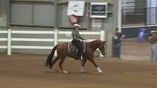 NRHA Oceania 2024 - Beginner Reiner Super Challenge #1 Champion