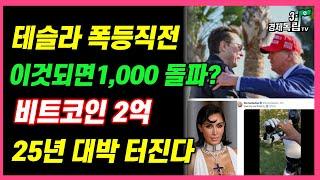 [테슬라 폭등 직전!! 이것 되면 1000 돌파?? 비트코인 2억, 25년 대박 터진다!!]#3.1경제독립tv