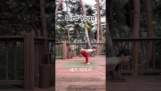 네이처 요가 ‘Bird Story’ #yoga #요가 #natureyoga #주말요가 #야외요가