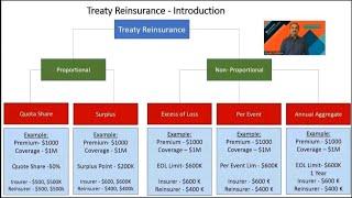 Treaty Reinsurance