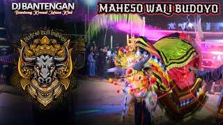 Banteng Kreasi MAHESO WALI BUDOYO || DJ Bantengan Malang