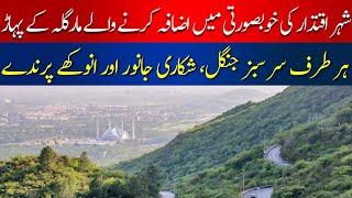 A Nature Lover's Paradise | Islamabad's Hidden Gem Margalla Hills | HUM News