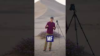 BEST Focus Mode for Landscape Photography (AF-S vs AF-C vs MF)