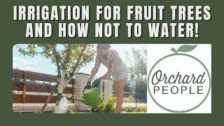 How to water a fruit tree    (and how NOT to water!)