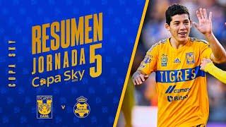  El Resumen | Tigres 1 - 1 Santos | Jornada 5 | Copa Sky