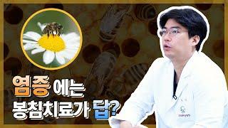 염증개선에 좋은 봉침치료, 어떤 효과가 있을까??