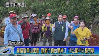 黃偉哲東山果園 直播行銷台南柳丁 28公噸40分鐘完銷