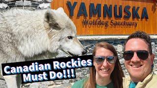 Our Experience at the Yamnuska Wolfdog Sanctuary (a MUST DO when visiting the Canadian Rockies!)