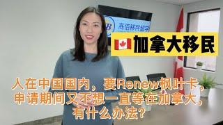 人在中国国内，想要Renew枫叶卡，该怎么解决？