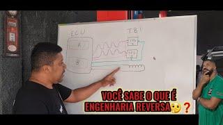 engenharia reversa  como descobrir para onde vai cada fio no chicote , entradas e saidas