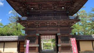 香椎宮 福岡県 博多駅 香椎駅 Kashii Shrine 2024