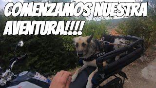 Como VIAJAR en MOTO con tu PERRO fin de VIAJAR solo