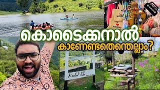 കൊടൈക്കനാലിൽ എവിടെല്ലാം പോണം? |kodaikanal tourist places|kodaikanal travel guide|kodaikanal