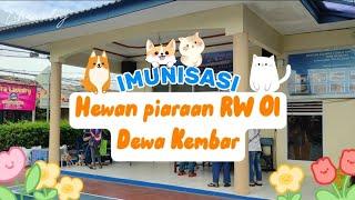 Imunisasi hewan piaraan di RW 01 Dewa Kembar | Imunisasi anjing & kucing