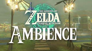 Tears of the Kingdom | Tarrey Town | 1 Hour Relaxing Night Zelda Ambience Sounds ASMR