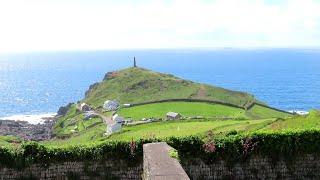 A Serpentarium Odyssey: Dorchester, Stinsford, Cape Cornwall, Dartmoor (England), May 2024