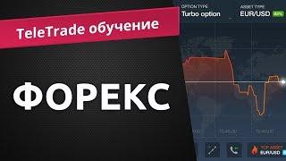 TeleTrade  обучение Форекс-трейдингу