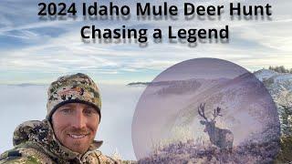 2024 Idaho Mule Deer Hunt- Chasing a Legend- Matt Tillotson