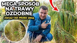 Jak związać trawy przed zimą. Co zrobić z trawami? Jesień w ogrodzie #gardening #ogród