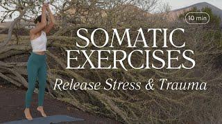 Somatic Exercises & Yoga for Stress & Trauma Release | Nervous System Regulation | Music Only