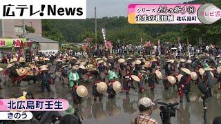 北広島町「壬生の花田植」４年ぶりに観客が見守るなか開催