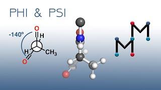 Understanding PHI and PSI Angles, Ramachandran Plots, & Newman Projections