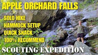 Hiking the Apple Orchard Falls Trail in Botetourt County, Va | Scenic Waterfalls & Blue Ridge Views