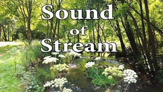 Sound of Stream - Relaxing Water Sound