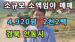 ((가격조정1천9백))경북 안동시 안동부동산 안동땅 시골땅 매매