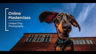 Online Masterclass | Unique Dog Photography with Cat Race & Michael Higginson