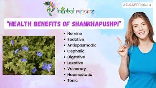 Shankhapushpi - Nourishing the Nervous System and Enhancing Vitality 