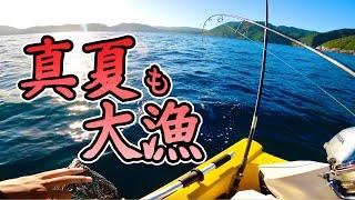 本日も大満足二馬力ボートなら 真夏でも大漁