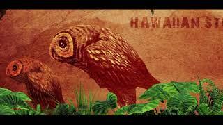 Hawaii videography - Hawaiian Stilt Owl - Oahu Films Animation Mockup