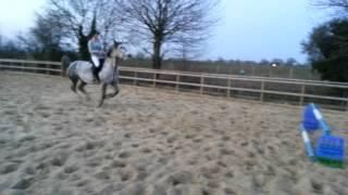 Dapple grey mare jumping