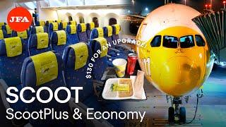 Scoot really isn’t THAT bad! ScootPlus from Singapore to Osaka | TRIP REPORT