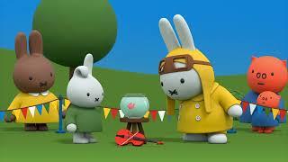 Fish Bowl | Miffy | Cartoons for kids