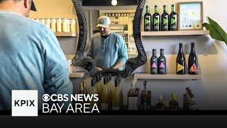 Sober bar movement provides alcohol-free options for cocktail crowd