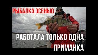 Самая лучшая приманка на окуня?!!! Рыбалка осенью.