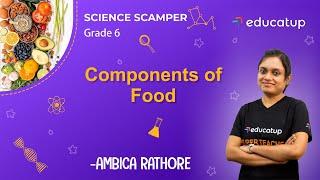 Components of Food | Class 6 Science Scamper | Chapter 2 | CBSE/NCERT @Educatup​