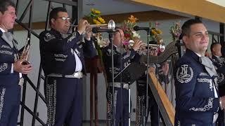 Serenata La Mujer Más Especial : POETA Y CAPECINO