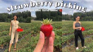 STRAWBERRY PICKING IN FINLAND | FIRST TIME STRAWBERRY PICKING | Regine Morales