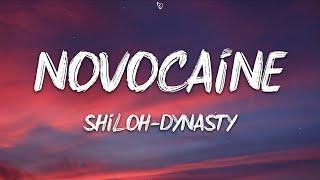 Shiloh Dynasty - Novocaine (Lyrics)