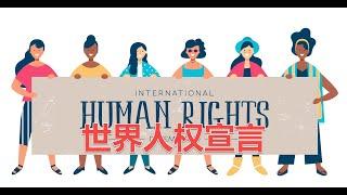 【世界人权宣言】全文，多谢网友广泛传播转载和分享本视频！Universal Declaration of Human Rights