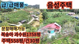 440)급매물/분할매매/음성주택/복숭아과수원/주택쪽558평/건30평/과수원1756평