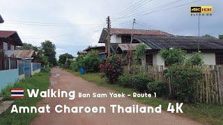 Walking 4K in the rural village of Thailand - Ban Sam Yaek, Amnat Charoen - Route 1 | 19 Aug 2022 