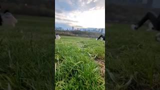 Riverdale Park East #shorts | Riverdale Park sunset | Toronto things to do