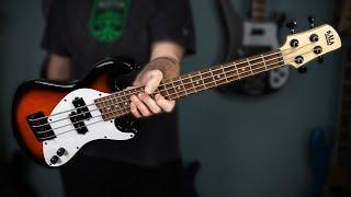 This Tiny Bass SOUNDS MASSIVE!