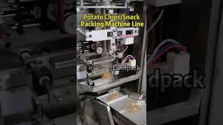 Potato Chips/Snack Packing Machine —Landpack